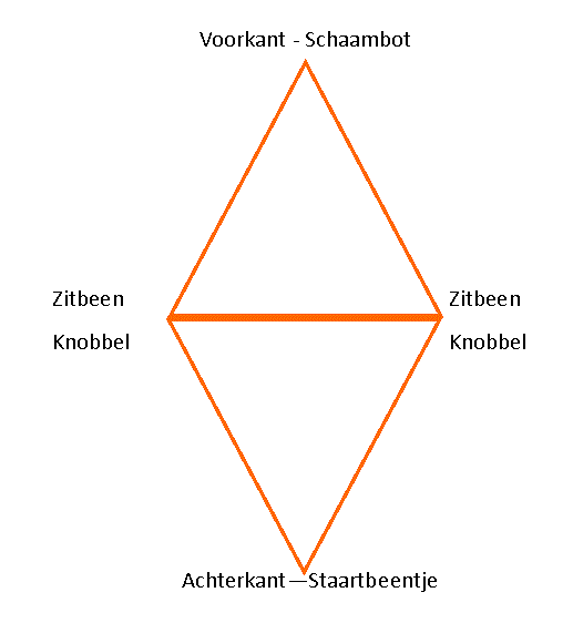 Twee driehoeken